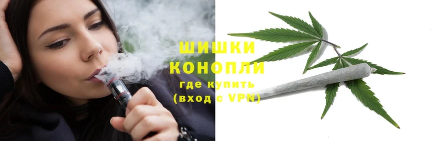 купить наркотик  Темников  Шишки марихуана OG Kush 